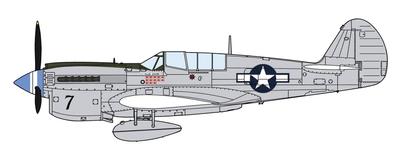 Hasegawa Warhawk Φυσικό Μέταλλο Άσσοι Πλαστικό Μοντέλο 07516 1/48 P-40N