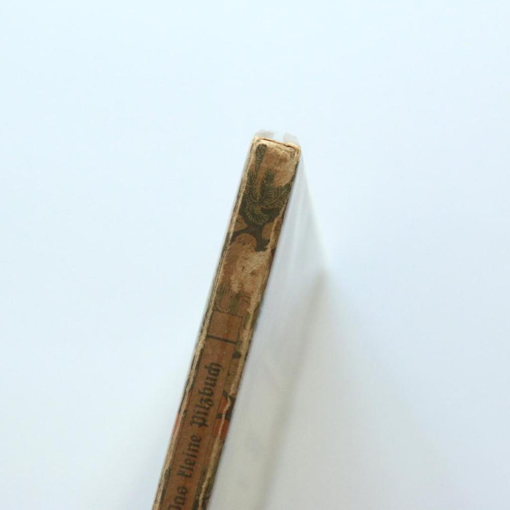 [USED] Germany Insel Library 503 Mushroom Book