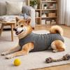Elastic Dog Recovery Suit Comfortable Adjustable Pet Anti-Lick Suit Breathable Washable Cat Jumpsuit Recovery Period
