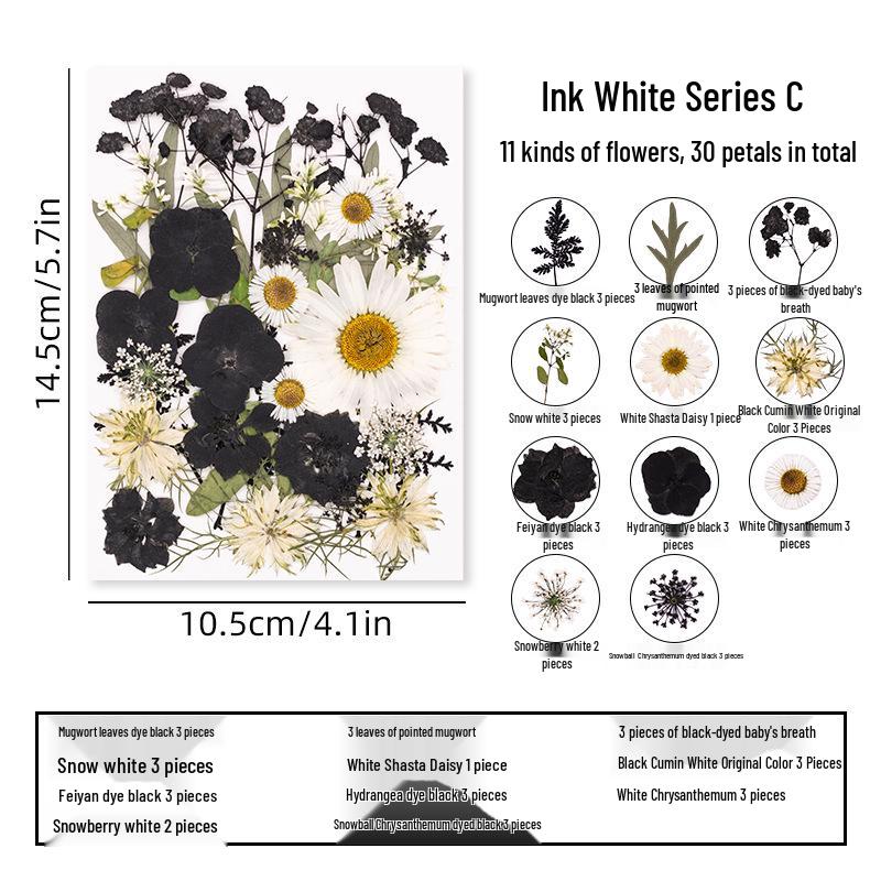 DIY Dried Flower Specimen Sticker Set for Kids: Handmade Pressed Flower Frames & Resin Bookmark Craft Kit