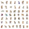 50 African Leopard Graffiti Stickers Car Skateboard Suitcase Decoration Stickers Waterproof Creative Children's Stationery Stickers
