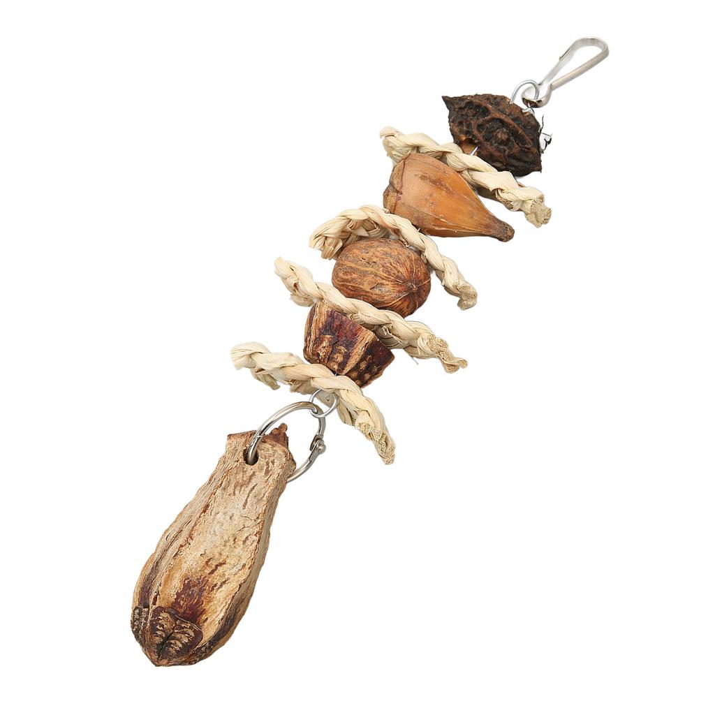 Parrot Chewing Toy Corn Leaves Nut Beak Grinding Hanging Bird Bite Toy for Budgies Parakeet