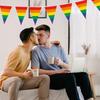 Flagi Rainbow Pride Banner Gay Pride Pennant Banner na imprezę na świeżym powietrzu w barze, dekoracje ogrodowe