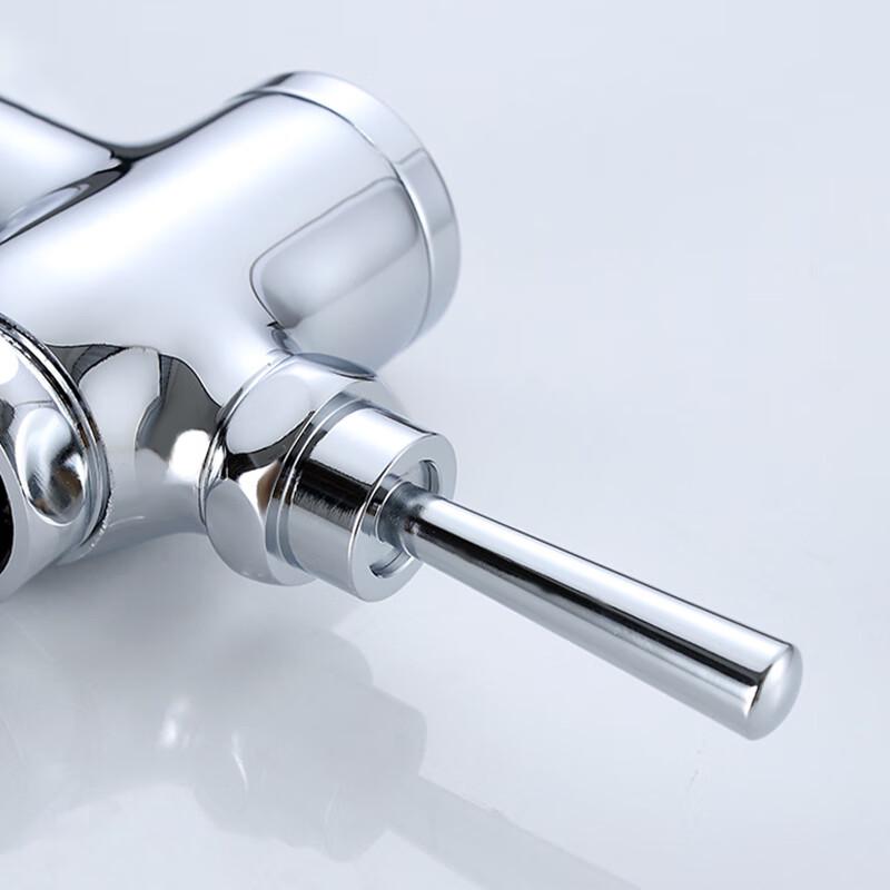 Longdai Squat Toilet Delay Flush Valve