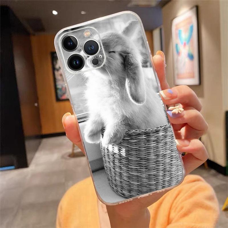 Rabbit Animal Phone Case For iphone 17ProMax 17 Pro Air 16 15 14 13 Pro Max 16 15 14 13 Pro 15Plus