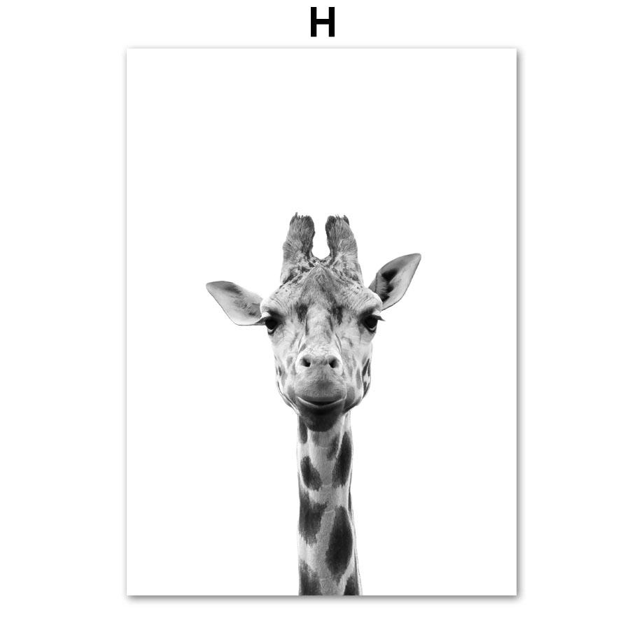 

Черно-белый постер с животными, тигр, лев, жираф, гепард, слон, волк, зебра, настенная живопись для детской комнаты, холст, картина, декор для детской комнаты A4 21X30cm No Framed