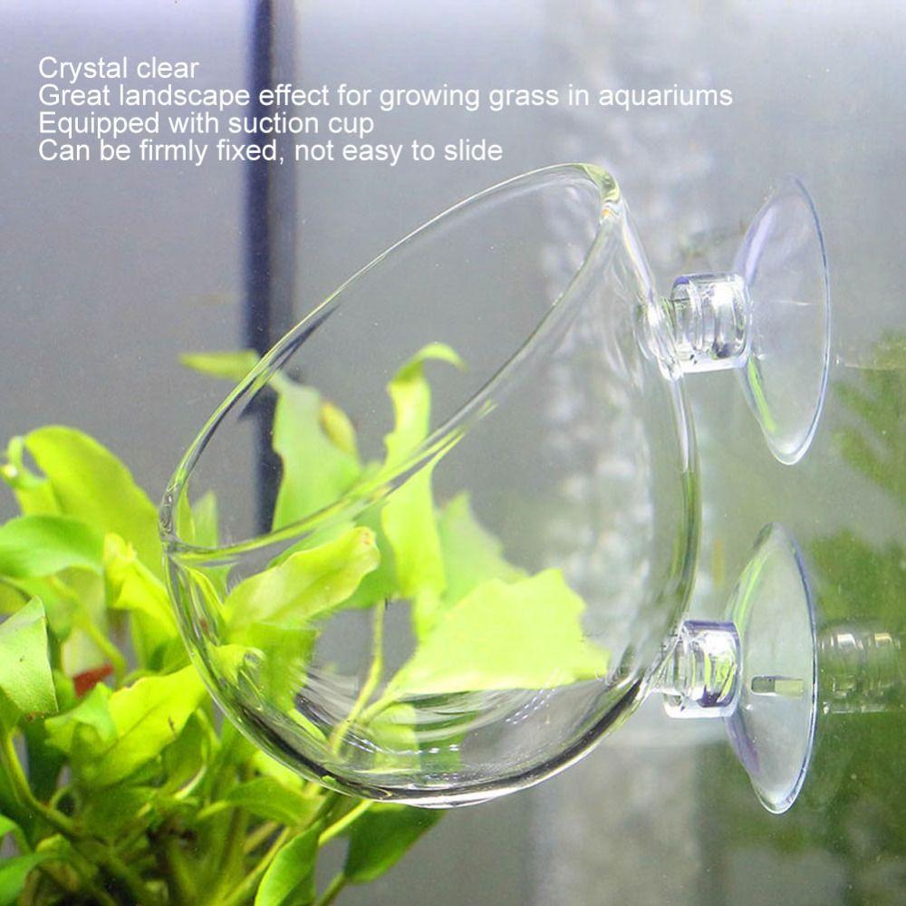 Transparent Aquatic Plant Holder Open Top Aquarium Planter Aquarium Aquascaping