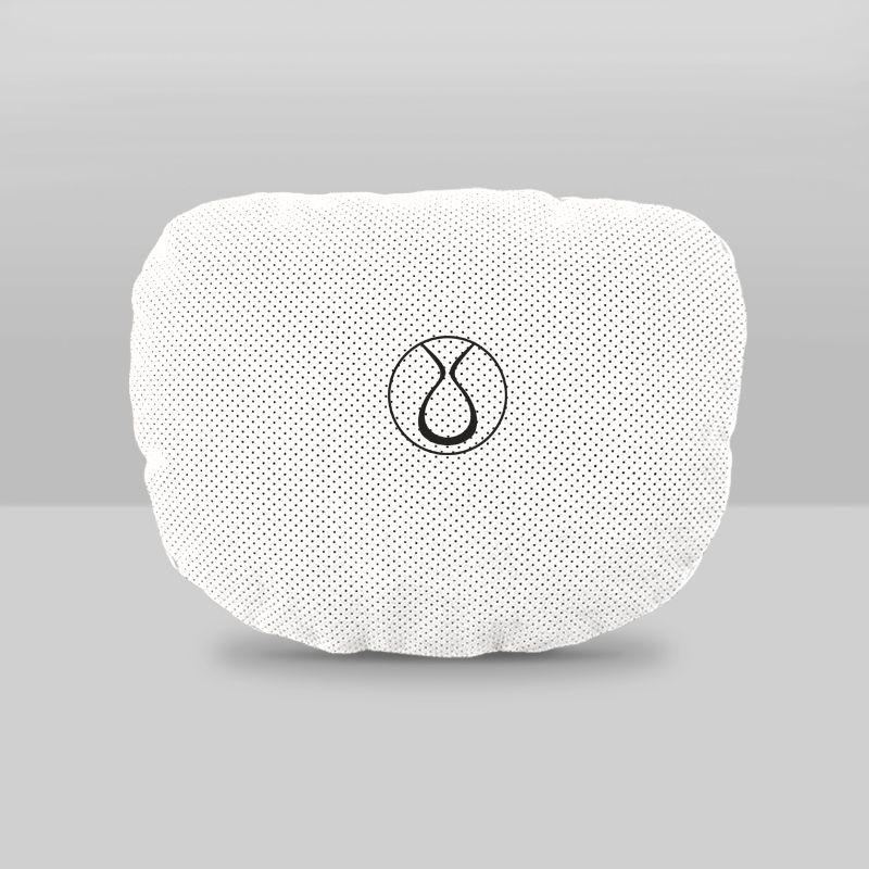 Denza XPHEV Maybach Neck and Lumbar Support Pillow Set