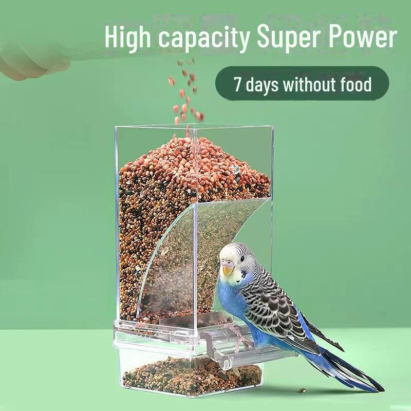 Anti-Spill Automatic Bird Feeder for Budgies and Cockatiels