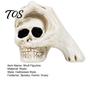 Dark Style Desktop Decoration Halloween Skull Hand Sculpture, Gothic Skeleton Head Figurine, Spooky Resin Creative Tricky Festival Gift for