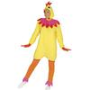 Fiestas Guirca Womens/Ladies Hen Costume Set