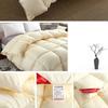 Winter White Goose Down Duvet Thickened Warmth Double Quilt Single Dormitory Quilt Large Soft and Comfortable Duvet