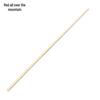 Martial Arts White Wax Wood Training Staff