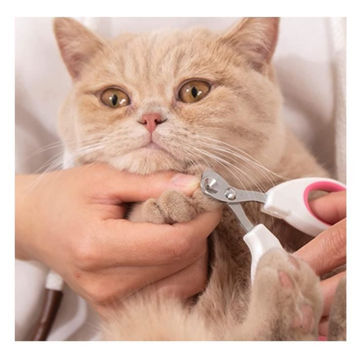 Coupe Ongles - Acier Inoxydable - Ergonomique - 2mm Trou Conique