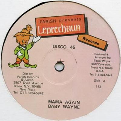 12inch Record BABY WAYNE / EVERTON CHAMBERS - Mama Again / Dancehall On Fire SE111 Leprechaun US Reggae, Ska & Dub