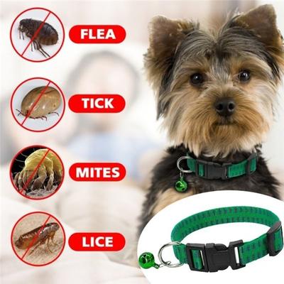 Tueur Efficace Sécurité Insectes Moustiques Extérieur Sangle de Cou Anti Puces Acariens Tiques Animal de Compagnie Fournitures Collier pour Chien