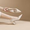 Pointed Head Shallow Mouth Thick Heel High Heels Women's Autumn New Two Wear Professional Work Banquet Women's Single Shoes
