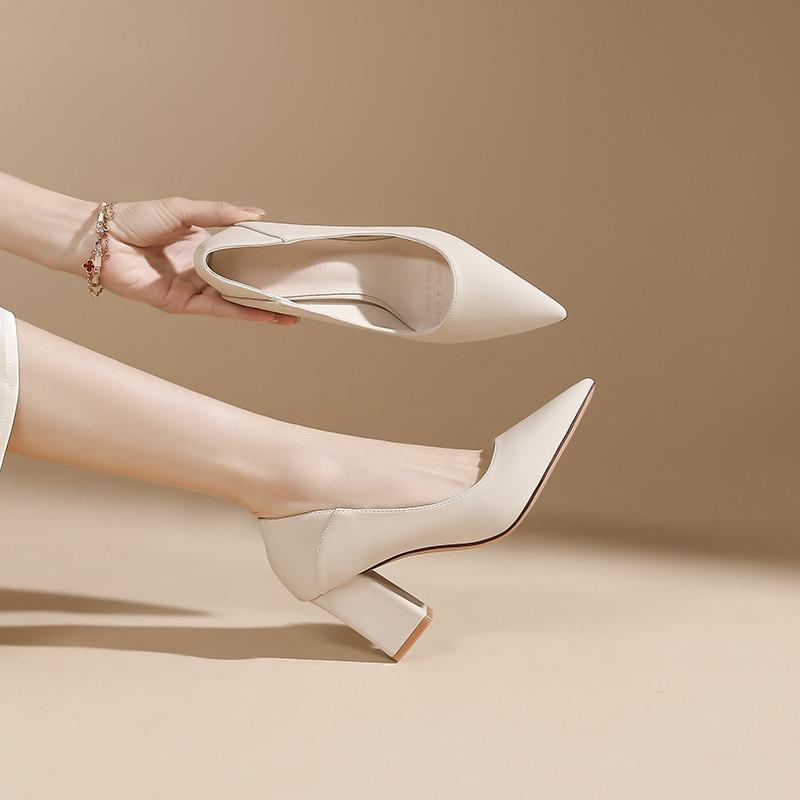 Pointed Head Shallow Mouth Thick Heel High Heels Women's Autumn New Two Wear Professional Work Banquet Women's Single Shoes
