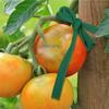 Green Garden Rope Plant Support Ties for Home and Office Cable Organization.