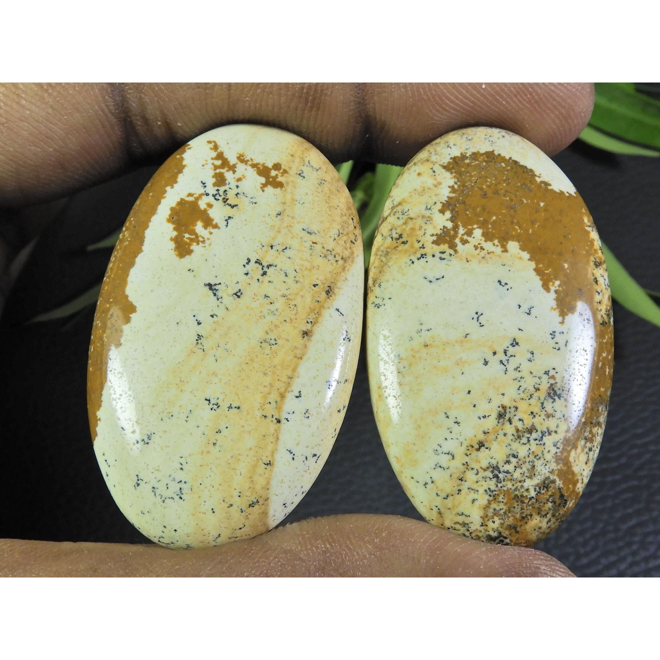 

113Cts. 2Pcs Natural Picture Jasper Oval Cabochon Gemstone 24X44-25X45MM A-89