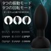 Anal Plug Vibrator Piston Vibrator 10 Vibrations Rotation with 360 Degree Rotation Mode Dildo Male Prostate Anal Vibrator USB Unisex + Charging,