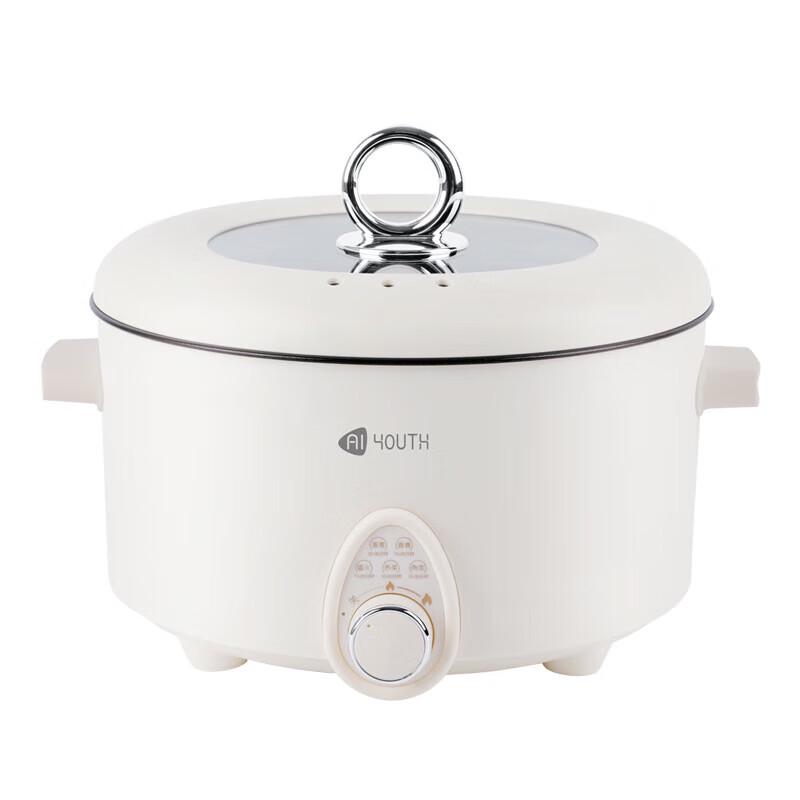 Ai Qing Chun 5L Electric Hot Pot