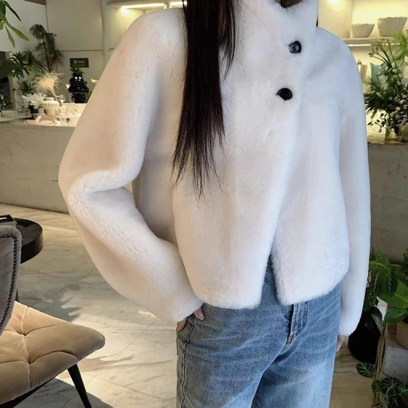 New Imitation Mink Fleece Fur Integrated Autumn and Winter Thickened Small Short Fur Fur Jacket Women's Clothing
