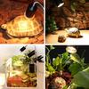 UVA UVB 3.0 Halogen Heating Lamp Full Spectrum Reptilian Lamp Lizard Lamp