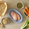 Balboa Breakfast Snack Low Sugar Oatmeal Porridge Chicken Vegetable Flavor