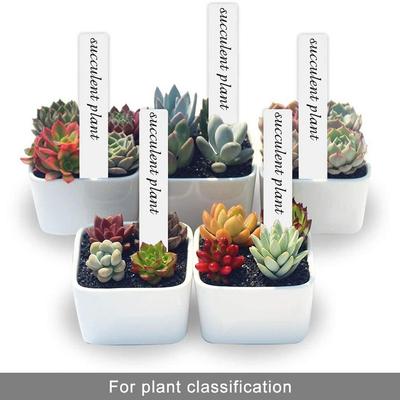Plant Tags 5*1cm Home & Garden Outdoor Living Plastic