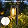 Solar Pathway Lights Outdoor, 10 Pack Metal & Glass Solar Lights Outdoor Waterproof Landscape Path Lights for Outside Yard Lawn Walkway Driveway