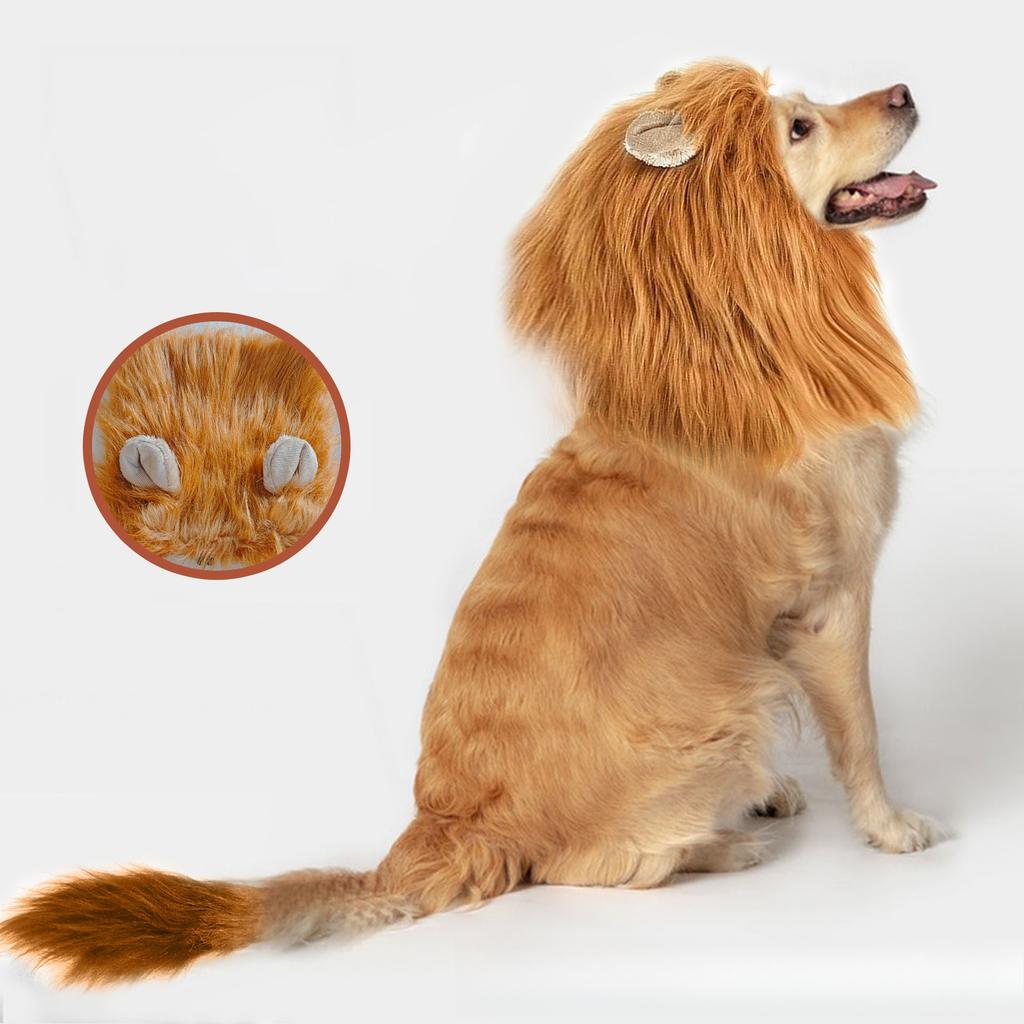 Lustige Süße Haustier Hund Cosplay Kleidung Löwenmähne für Hundekostüme Realistische Löwenperücke Schwanz für Kleine bis Große Hunde mit Ohren Löwenkopf