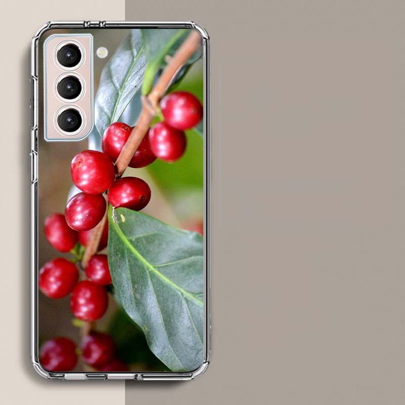 

Coffee Bean Tree Phone Case For Samsung Galaxy S25 Edge S24 S23 FE S21 S20 S10 Plus S22 S26 Ultra Cover Clear Cases TPU Capa She Samsung S21 FE