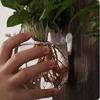 Vintage Hydroponic Container Creative Plant Flower Pots Aquarium Wall Mount Glass Vase  Room