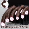 Realistic Long Dildo Black Anal Plug with Suction Cup Big Penis Butt Plug Long Dick Sex Toys for Women Men Phallus Anal Dilator