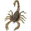 Safari Ltd. Scorpion Figurine - Realistic 7.5" Arachnid Figure - Educational Toy for Boys, Girls, and Kids Ages 3+