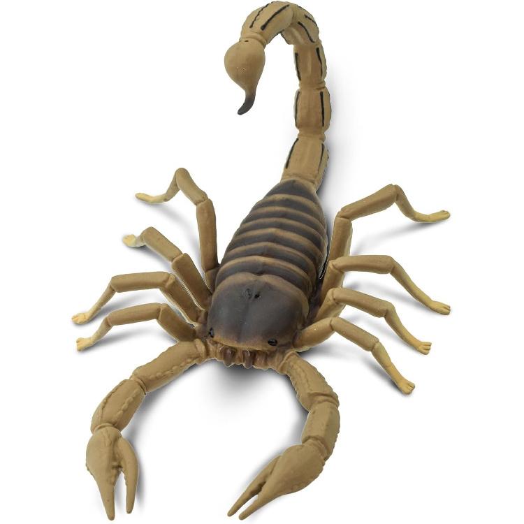Safari Ltd. Scorpion Figurine - Realistic 7.5" Arachnid Figure - Educational Toy for Boys, Girls, and Kids Ages 3+