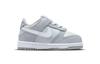 Nike Dunk Low Two-Toned Grey TD DH9761-001