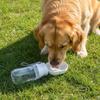 Leak-proof Dog Water Dispenser Sealed Pet Water Feeder Outdoor Dog Water Bottle  Garden