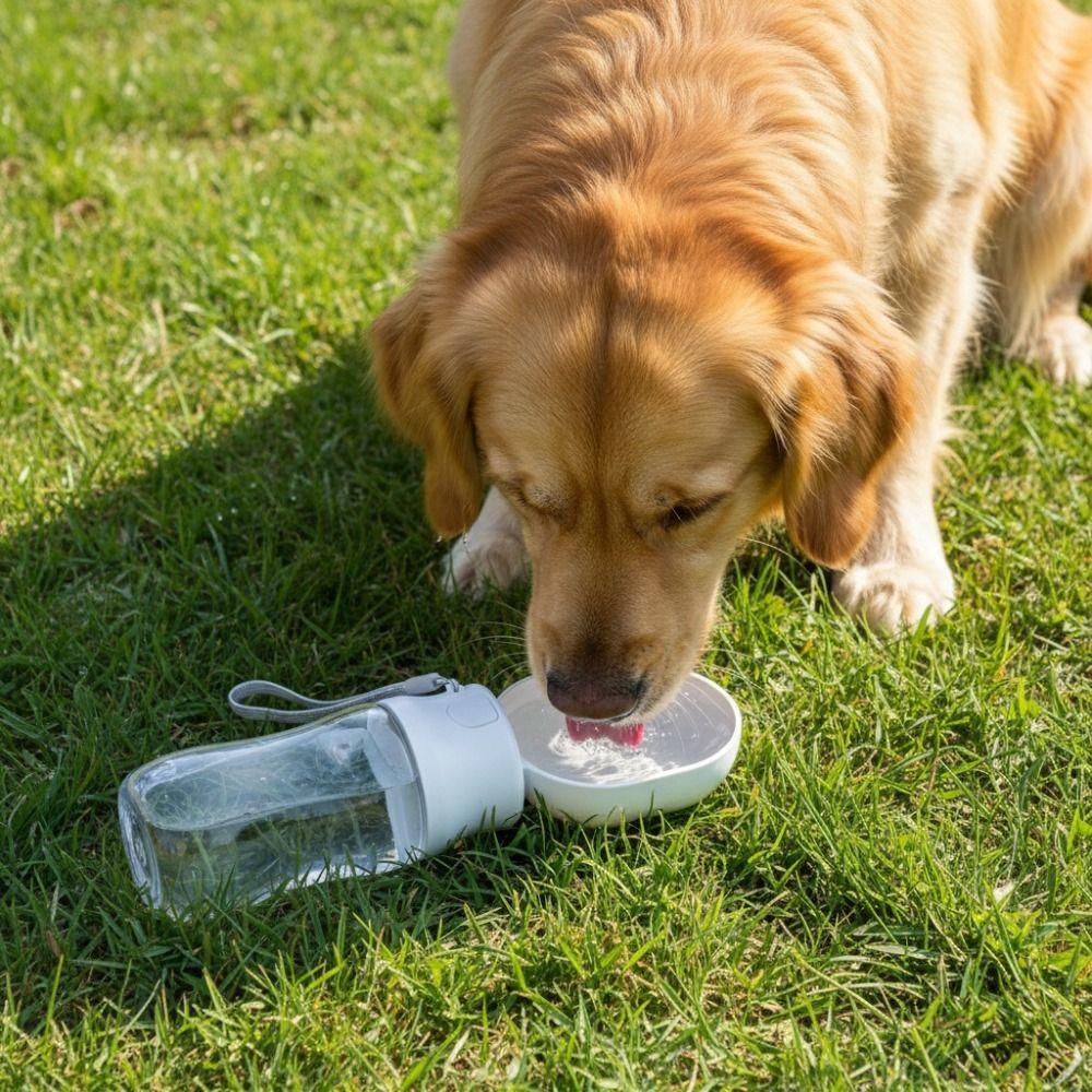 Leak-proof Dog Water Dispenser Sealed Pet Water Feeder Outdoor Dog Water Bottle Garden
