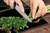 PIANO PROTETTIVO IN VETRO PER CUCINA 2x35x52 MARMO
