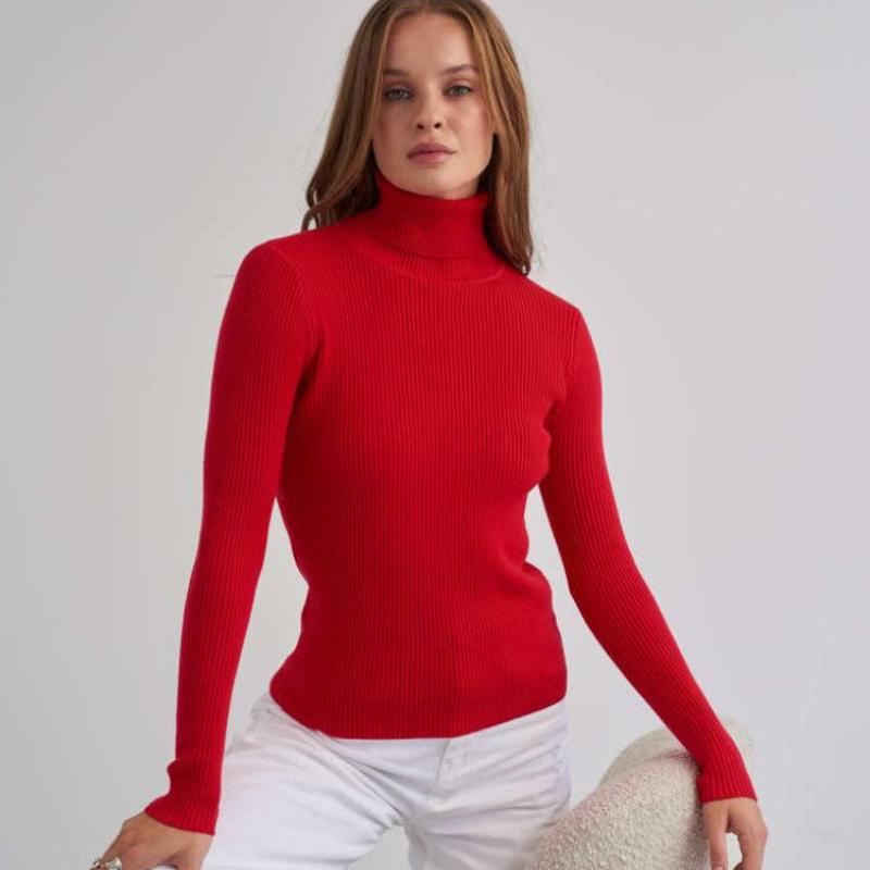 Fashion Women Sweaters Pullover Autumn Winter Turtleneck Sweater Female Solid Ofifce Lady Long Sleeve Sweaters Tops