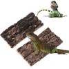 Natrual Flat Cork Bark Reptiles Terrariums Ornament for Water for Tank Terrarium