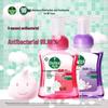 Foam Antibacterial Hand Wash Twin Pack