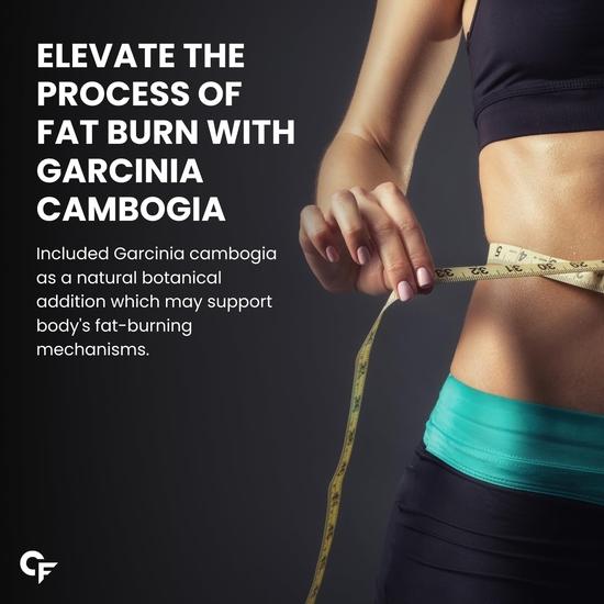 Carbamide Forte Night & Day Fat Burner for Men & Women | 24-Hour Metabolic Support & Weight Loss Support - 60 Capsules Each (Pack of 2)