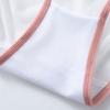 Cotton Crotch Mid Waist Mesh Briefs Thin Belt Mesh Transparent Underpants  Female