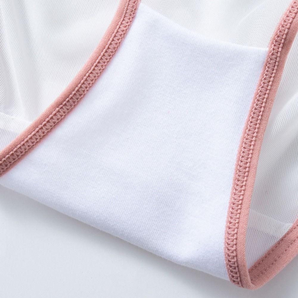 Cotton Crotch Mid Waist Mesh Briefs Thin Belt Mesh Transparent Underpants Female