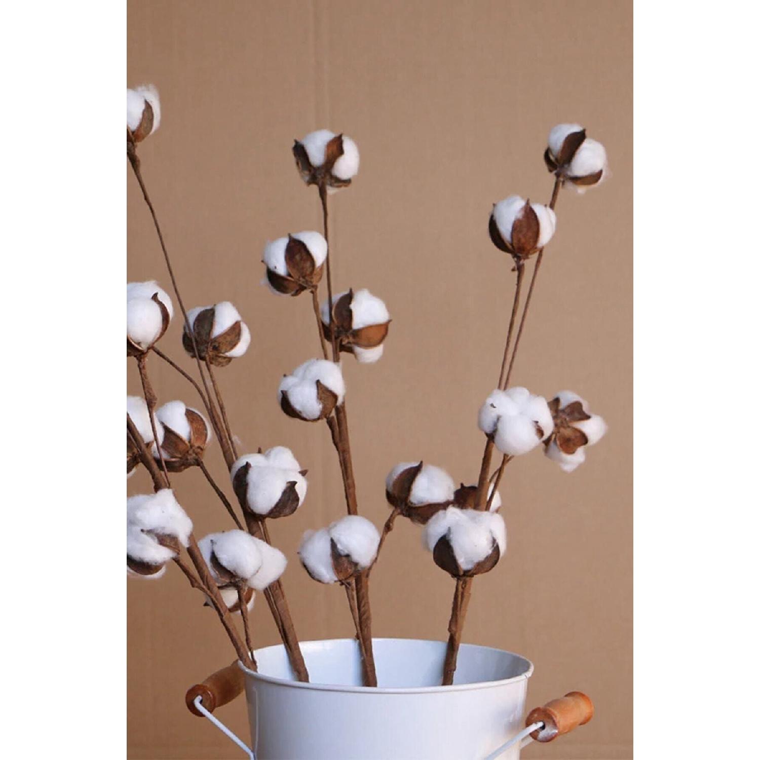 

White Natural Cotton Branches 10 Pieces Tek Ebat білий