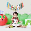 Caterpillar High Chair Banner - Very Hungry Caterpillar 1st Birthday Banner, Photo Backdrop for Baby's 1st Birthday Party Decorations