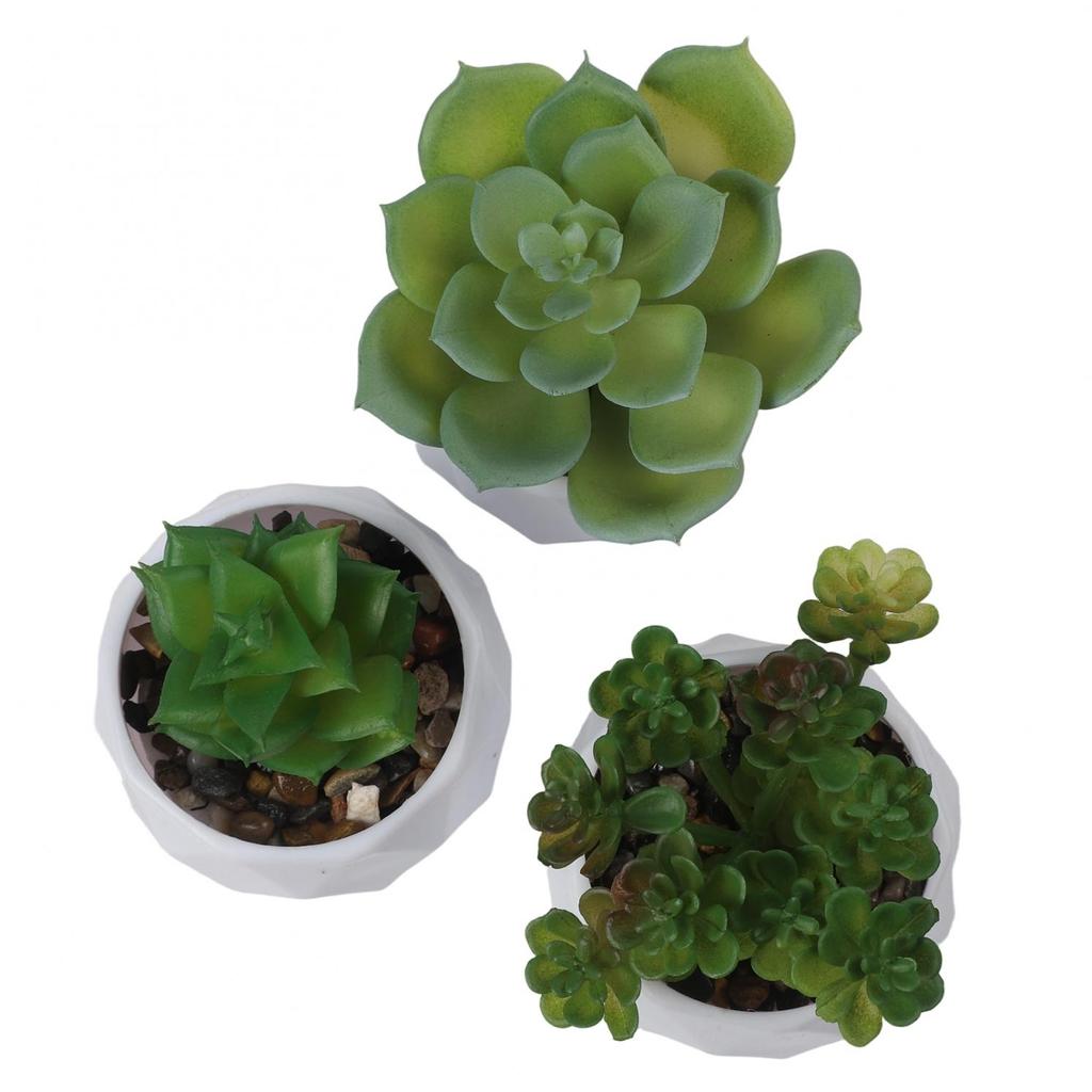 Artificial Succulents Decorative Flower Pot Easy Maintenance